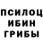 Псилоцибиновые грибы Psilocybe tempestv8