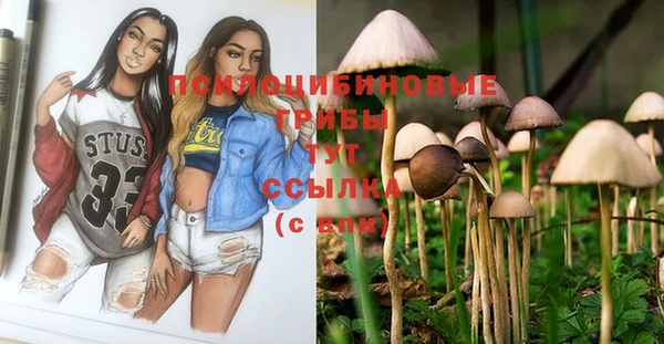 бутират Арсеньев